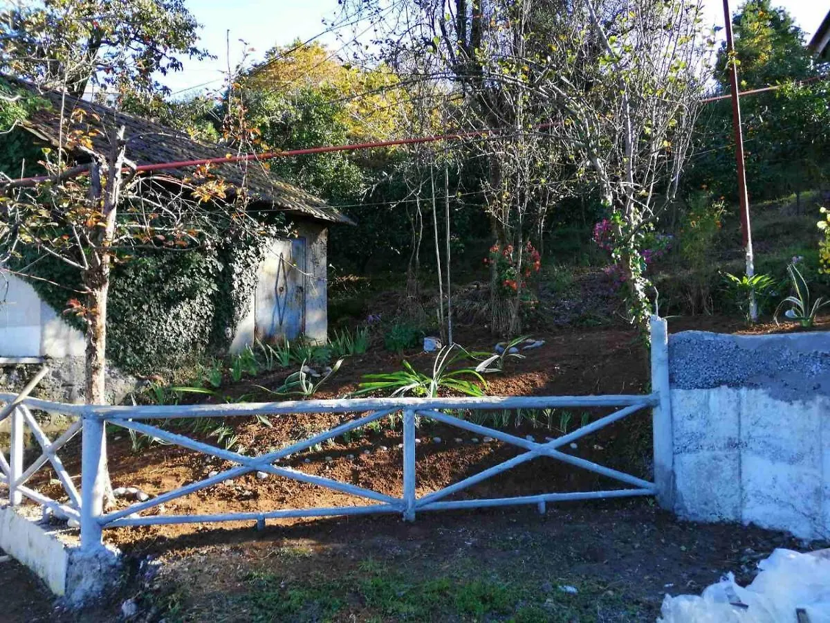 Villa Cottage House Niniela Batoumi